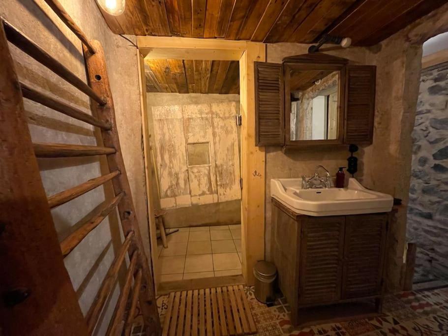 Maison Vigneron - Maison Et Studio Saint-Didier-sur-Beaujeu Exteriör bild